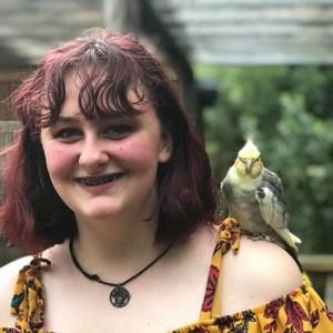 Meet your Posher, Lacy